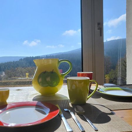 FeWo Bergblick - Oberwiesenthal Exterior foto