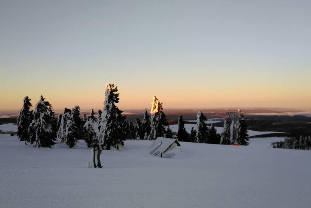 FeWo Bergblick - Oberwiesenthal Exterior foto